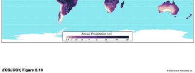 Global wind and pressure patterns (alternate)