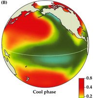 PDO cool phase