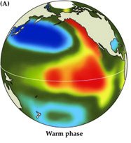 PDO warm phase