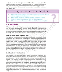 Diagram of photosynthesis in a leaf