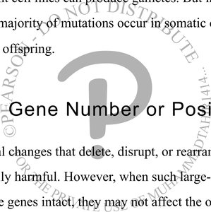 Text excerpt on gene number and position changes
