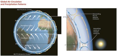 Global Air Circulation and Precipitation Patterns