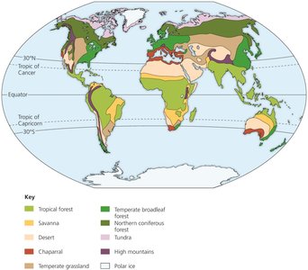 Distribution of Major Terrestrial Biomes