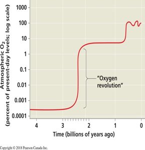 Graph showing the rise in atmospheric oxygen during the Oxygen Revolution
