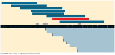 Timeline of evolutionary thought and major historical events