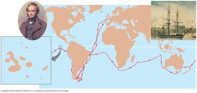Darwin's voyage route and Galápagos Islands