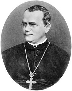 Historical figure associated with genetics