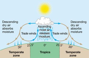 Global air circulation and precipitation patterns