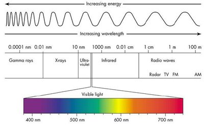 Electromagnetic spectrum and visible light