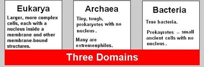 Three Domains of Life