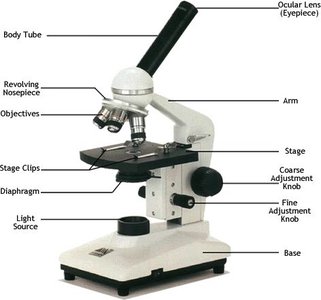 Labeled parts of a microscope