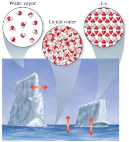 Water vapor, liquid water, and ice