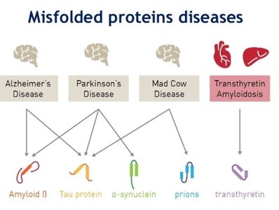 Misfolded protein diseases