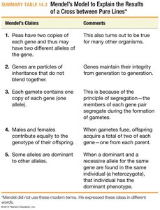 Mendel's model and conclusions