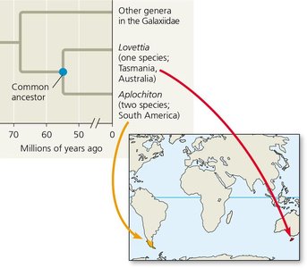 Biogeography and continental drift