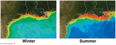 Satellite images of the Gulf of Mexico dead zone in winter and summer