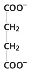 Citric Acid Cycle: Fumarate structure
