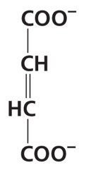 Citric Acid Cycle: Fumarate structure