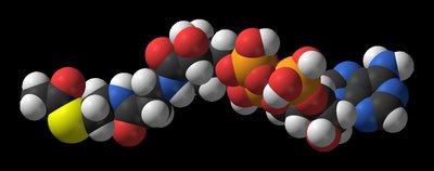 Structure of Acetyl CoA