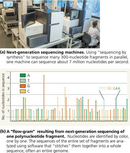 Next-generation sequencing machines and flow-gram