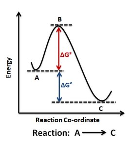 Reaction energy diagram showing ΔG and activation energy