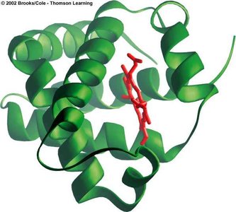 Tertiary structure example