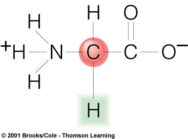 Structure of glycine