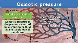 Osmotic pressure in capillaries