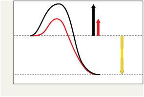 Course of reaction with and without enzyme