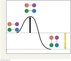Transition state and activation energy