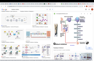 Feedback inhibition in metabolic pathways