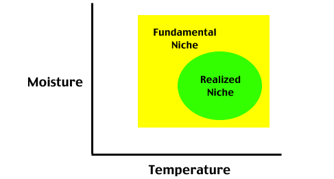 Diagram showing fundamental and realized niche