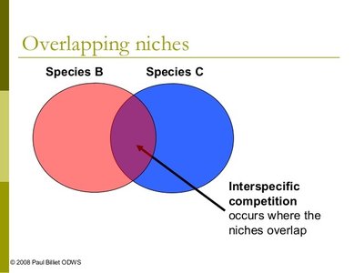 Venn diagram showing niche overlap and interspecific competition