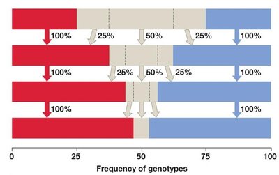 Bar graph showing effects of inbreeding over generations