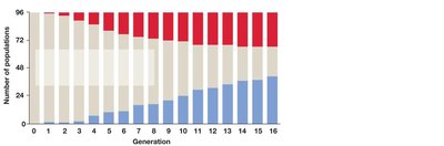 Bar graph showing allele fixation and loss over generations