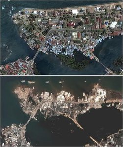 Aerial photos before and after a tsunami, illustrating a population bottleneck