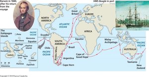 Darwin's voyage on the HMS Beagle