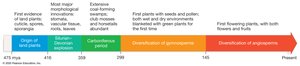 Fossil record of land plants