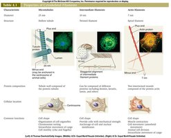 Table comparing cytoskeletal elements