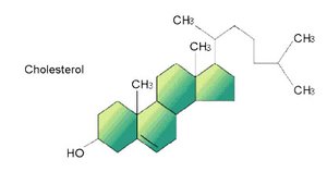Cholesterol molecule, relevant to lipid synthesis in SER