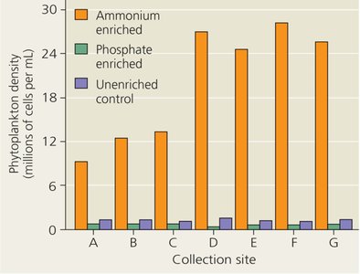 Bar graph showing phytoplankton density in response to nutrient enrichment