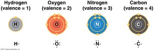 Valence electron diagrams for hydrogen, oxygen, nitrogen, and carbon