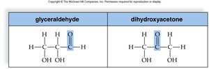 Comparison of structural isomers: glyceraldehyde and dihydroxyacetone