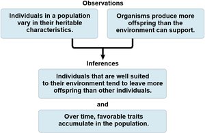 Summary diagram of natural selection: observations and inferences