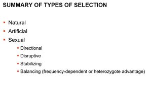 Summary of types of selection