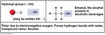 Hydroxyl group