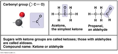 Carbonyl group