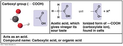 Carboxyl group
