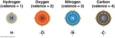 Valence of hydrogen, oxygen, nitrogen, and carbon
