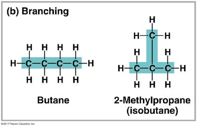 Branching in hydrocarbons: butane and isobutane